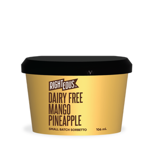 Dairy Free Mango Pineapple Minis - Bulk Case x24