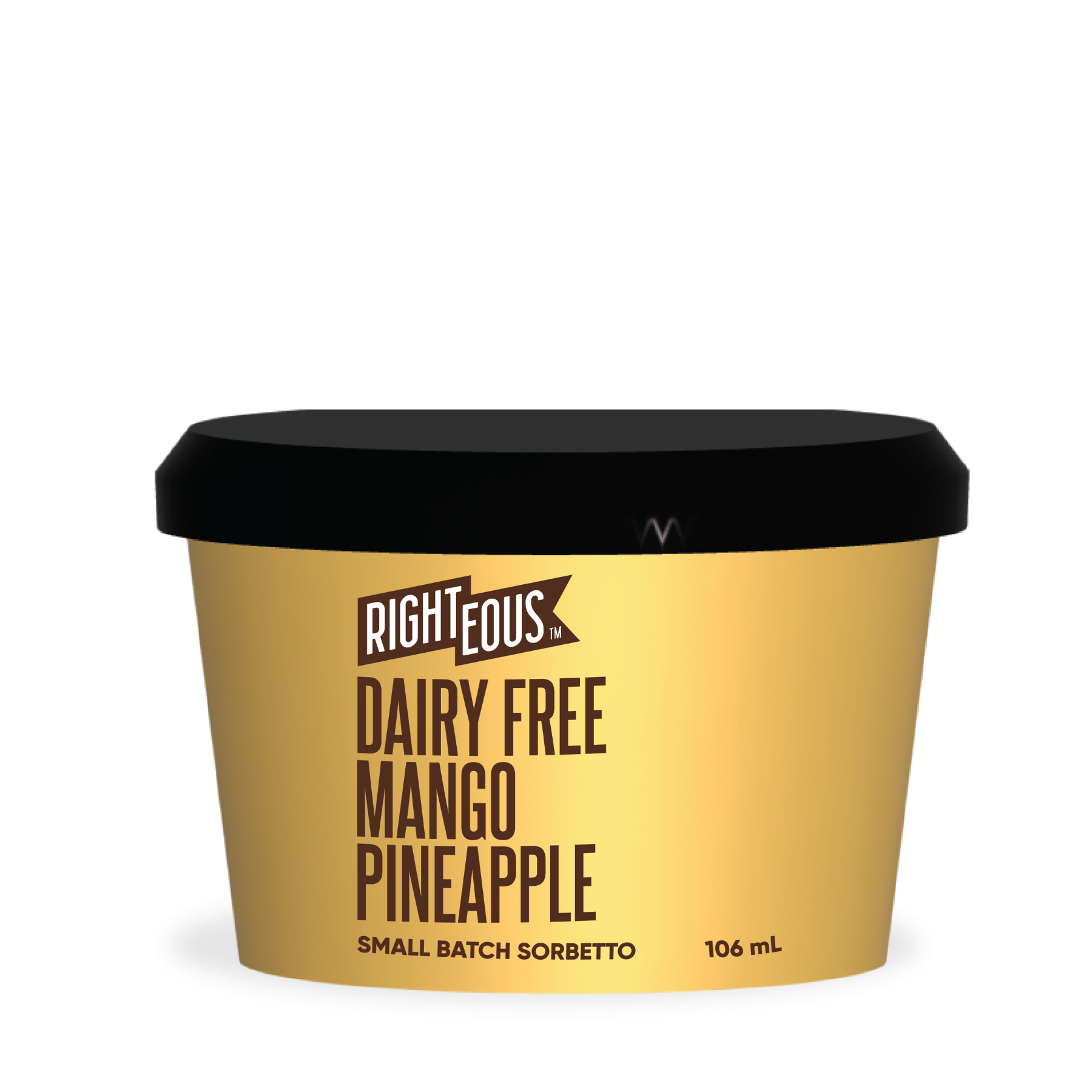 Dairy Free Mango Pineapple Minis