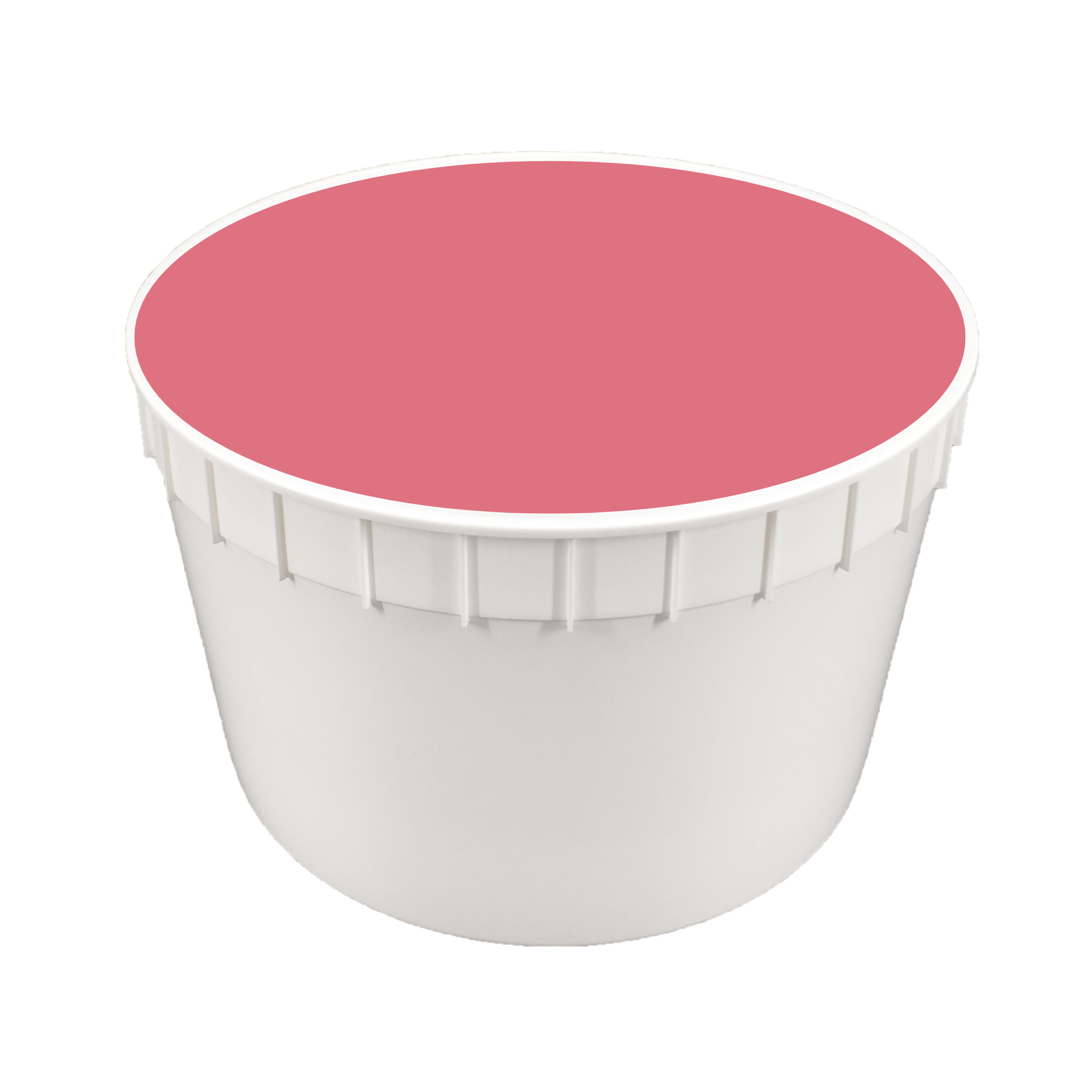 Dairy Free Raspberry Lime 5.7L Pail