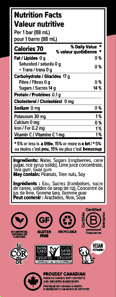 Rightous Raspberry Lime Raspberry Lime Sorbetto Bars 4 x 88mL – Righteous Gelato
